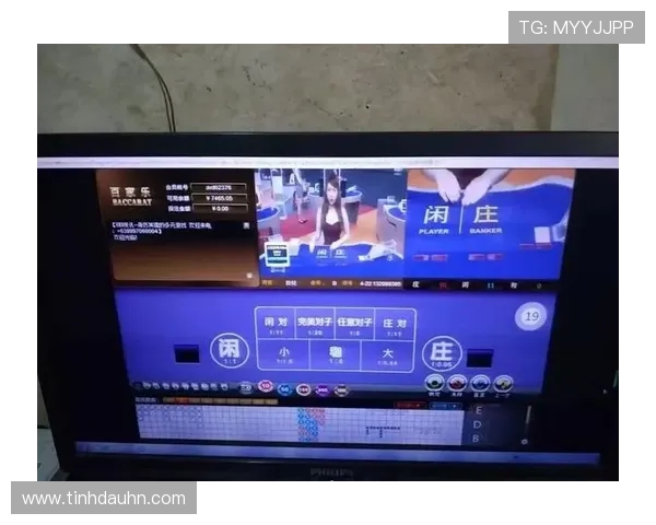 网上百家乐游戏高额奖金奖励机制揭秘助你轻松赢取丰厚回报