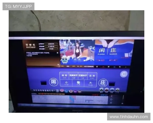 最新百家乐路单下载软件推荐，提升你的游戏策略和胜率